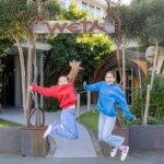 Wellington: Highlights Tour with a Local Guide - Exploring the Botanical Gardens and Parliament