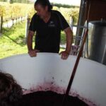 Wellington: Martinborough Private Winery Tour with Lunch - Who Should Consider This Tour?