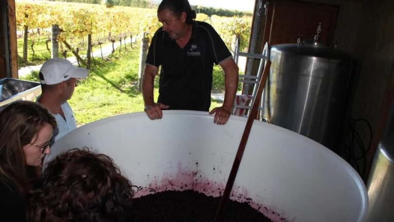 Wellington: Martinborough Private Winery Tour with Lunch - Who Should Consider This Tour?