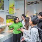 Wellington: Museum of NZ Intro Tour & General Admission - The Itinerary in Detail