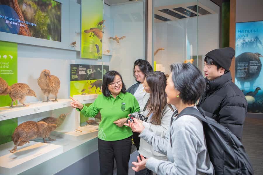 Wellington: Museum of NZ Intro Tour & General Admission - The Itinerary in Detail