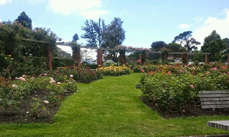 Wellington: Private Day Tour with Lunch - Why This Tour Offers Great Value