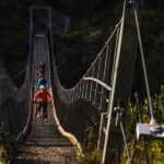 Wellington: Remutaka Rail Trail Cycle Tour - What to Expect on the Trail