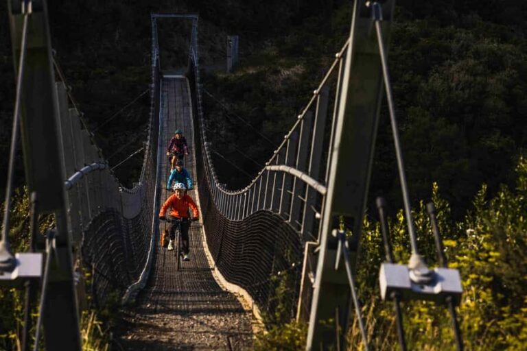 Wellington: Remutaka Rail Trail Cycle Tour - What to Expect on the Trail