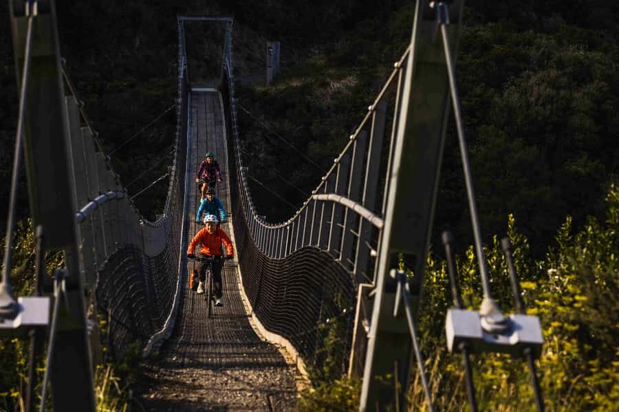 Wellington: Remutaka Rail Trail Cycle Tour - What to Expect on the Trail