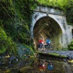 Wellington Remutaka Rail Trail eBike Cycle Tour - What Makes This Tour Stand Out