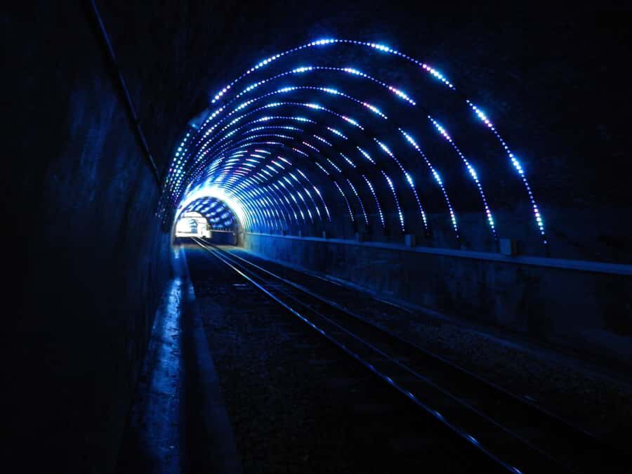 Wellington: Return Cable Car Ticket - What to Expect at the Top