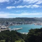 Wellington Scenic Full Day Tour - The Experience of a Personal Guide