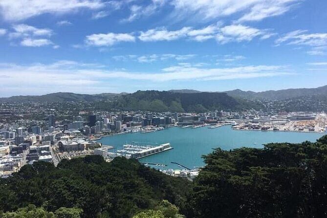 Wellington Scenic Full Day Tour - The Experience of a Personal Guide