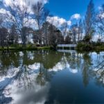 Wellington: Secret Realms of Middle-earth - Lothlorien - The Itinerary: What You’ll See and Do