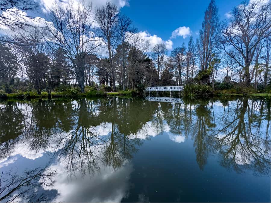 Wellington: Secret Realms of Middle-earth - Lothlorien - The Itinerary: What You’ll See and Do