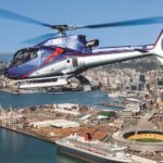 Wellington South Coast Discovery Helicopter Flight - Who Will Enjoy This Tour Most?