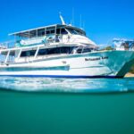 Welshpool: Wilsons Promontory Nature and Wildlife Day Cruise - The Itinerary Breakdown