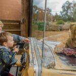 Werribee Open Range Zoo: Entry Ticket - Who Will Love This Experience?