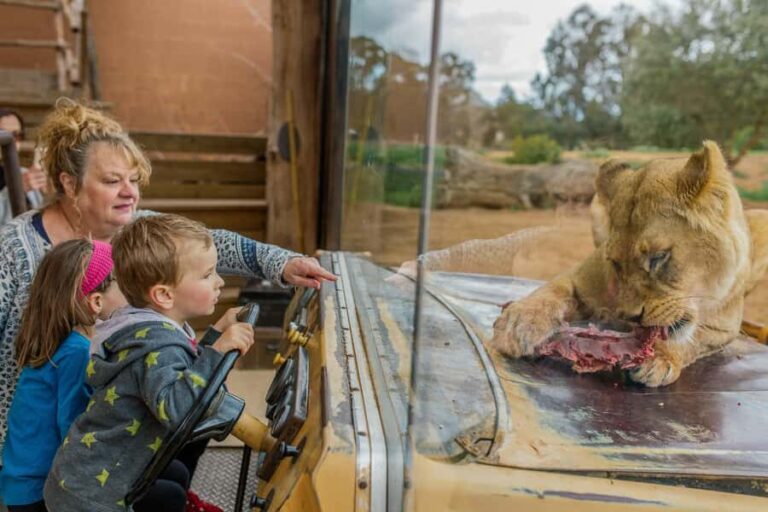 Werribee Open Range Zoo: Entry Ticket - Who Will Love This Experience?