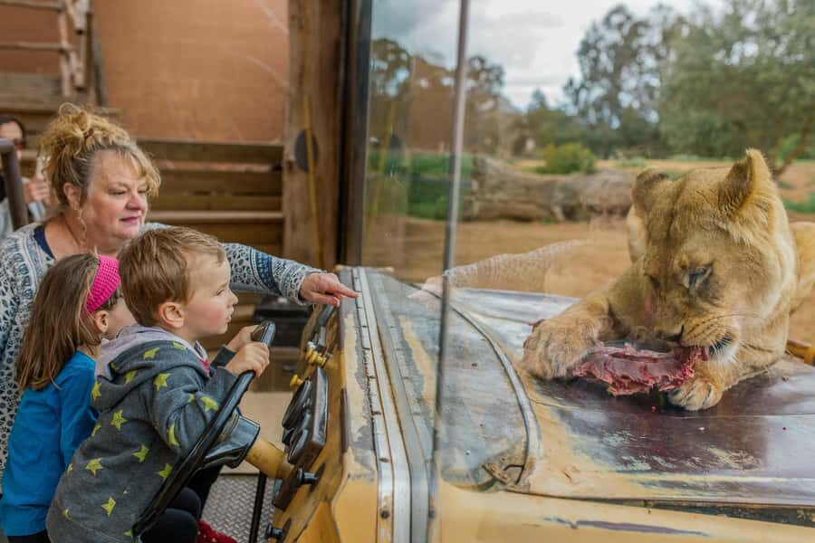 Werribee Open Range Zoo: Entry Ticket - Who Will Love This Experience?
