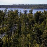 West Coast Tower Zipline & Treetop Walk Combo - What’s Included and What’s Not
