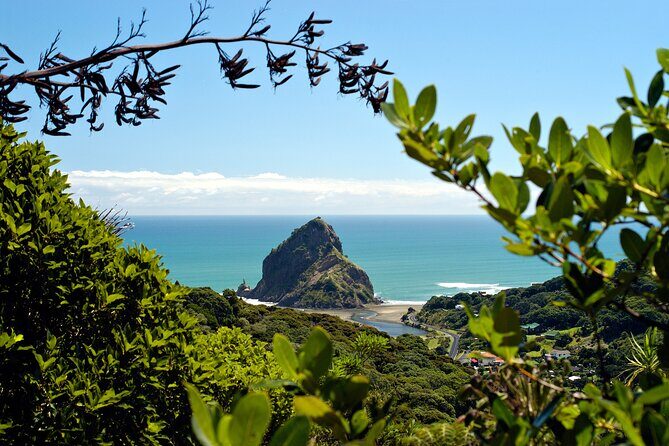 West Coast Wilderness Experience - Private Tour From Auckland - What Travelers Can Expect and How They’ll Benefit