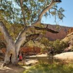 West MacDonnell Ranges & Standley Chasm Day Trip from Alice Springs - The Experience: What Makes It Special