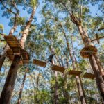 Western Sydney Tree Ropes Course - Who Will Love This Tour?