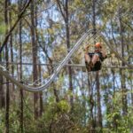 Western Sydney Zipcoaster Experience - Practical Tips for Visitors