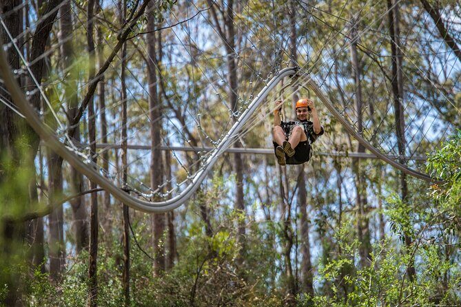 Western Sydney Zipcoaster Experience - Practical Tips for Visitors