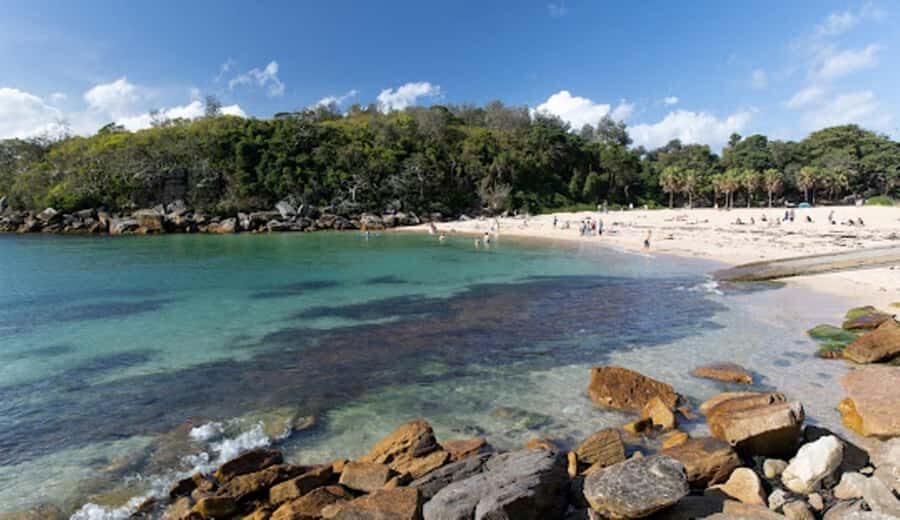 Wet & Dry Manly from Sydney - Discovering Manly Wharf and Corso