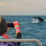 Whale Watching in Kaikoura by Boat - The Crew and Environment