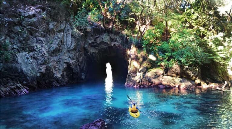 Whangamata: Donut Island Guided Kayaking Experience - Who Should Consider This Tour?