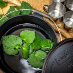 Whirinaki Forest Footsteps: Mori Guided Tour, Picnic & Transfer - Who Should Consider This Tour?