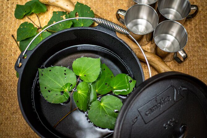 Whirinaki Forest Footsteps: Mori Guided Tour, Picnic & Transfer - Who Should Consider This Tour?