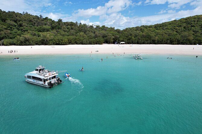 Whitehaven Beach Club Transfers from Airlie Beach - The Sum Up