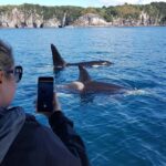 Whitianga: 2-Hour Cathedral Cove and Volcanic Coast Cruise - Who Should Book This Cruise?