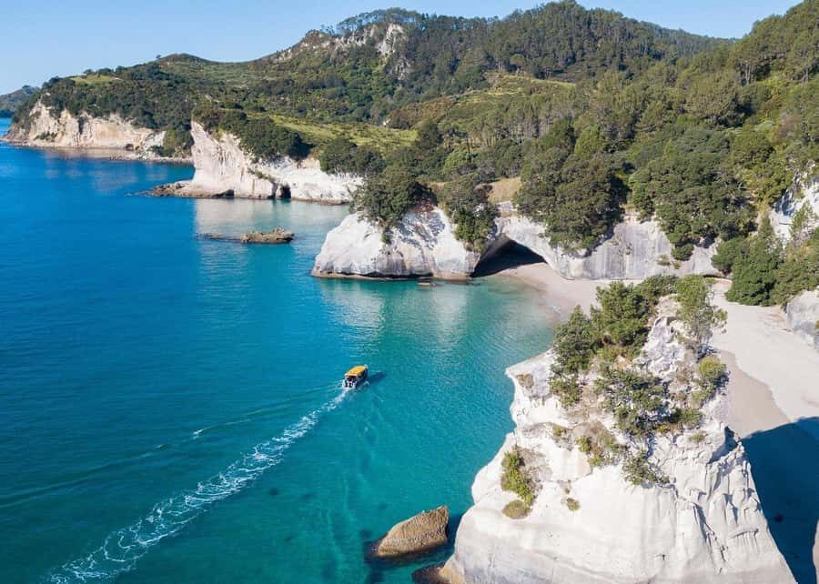 Whitianga: 2-Hour Glass Bottom Boat Cathedral Cove Tour - Who Will Love This Tour?
