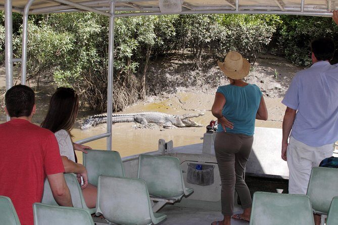 Whitsunday Crocodile Safari - The Real Value of the Tour