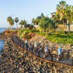 Whitsundays Segway Sunset and Boardwalk Tour with Dinner - An In-Depth Look at the Whitsundays Segway Sunset Tour