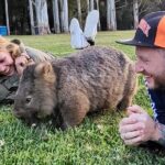 WILD Wombat and Kangaroo Day Tour, All Inclusive - Who Will Enjoy This Tour?