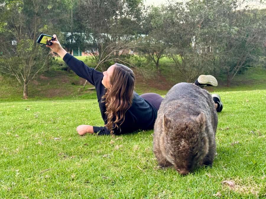 WILD Wombats and Kangaroo Experience, All Inclusive, Sydney - Final Thoughts: Who Is This Tour Perfect For?