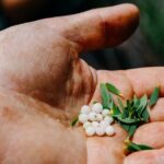 Wild Yarnbala - The Sum Up