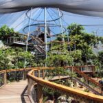 Wildlife Habitat Port Douglas - The Sum Up: Is This Tour for You?