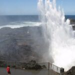 Wildlife, Wine & Waves  Epic South Coast Adventure from Sydney - What We Love About the Experience