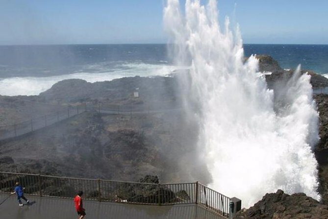 Wildlife, Wine & Waves  Epic South Coast Adventure from Sydney - What We Love About the Experience