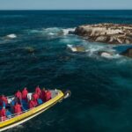 Wilsons Promontory: Afternoon Wilderness Cruise - Who Should Consider This Tour?