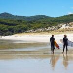 Wilson's Promontory Small Group Eco Tour from Melbourne - The Downside: What to Keep in Mind