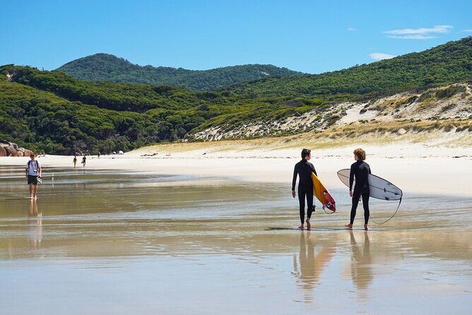 Wilson's Promontory Small Group Eco Tour from Melbourne - The Downside: What to Keep in Mind