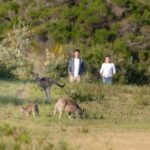 Wilsons Promontory Wilderness Day Tour - What the Tour Includes and What You’ll Need to Bring