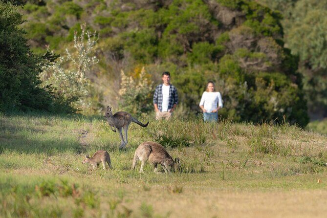 Wilsons Promontory Wilderness Day Tour - What the Tour Includes and What You’ll Need to Bring