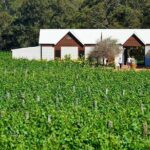 Wine 101- Wine Education Classes - The Tasting Component