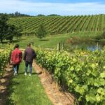 Wine Exposed Nelson Winery Tour - Exploring the Nelson Wine Region in Detail