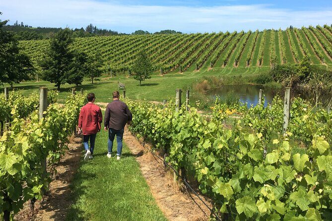 Wine Exposed Nelson Winery Tour - Exploring the Nelson Wine Region in Detail